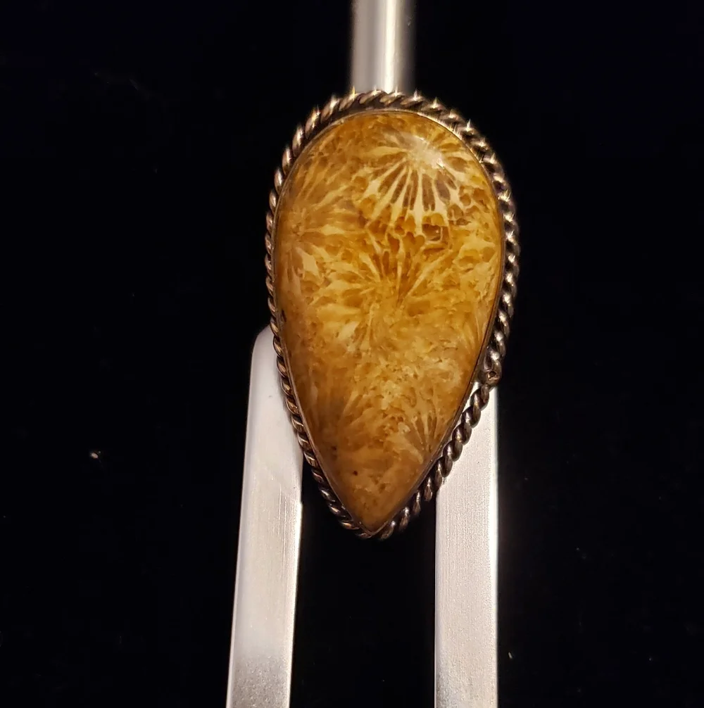 NWOT Fossilized Coral Ring, Handmade By Artisans, Polished Honey Gold, Sz. 8 - Picture 3 of 6